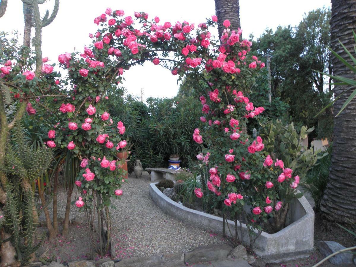 Villa Ingrid Gassin Ngoại thất bức ảnh